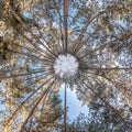 Winter tiny planet in snow covered pinery forest. transformation of spherical panorama 360 degrees. Spherical abstract aerial view Royalty Free Stock Photo