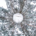 Winter tiny planet in snow covered pinery forest. transformation of spherical panorama 360 degrees. Spherical abstract aerial view Royalty Free Stock Photo