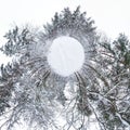 Winter tiny planet in snow covered pinery forest. transformation of spherical panorama 360 degrees. Spherical abstract aerial view Royalty Free Stock Photo