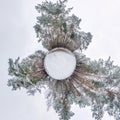 Winter tiny planet in snow covered pinery forest. transformation of spherical panorama 360 degrees. Spherical abstract aerial view Royalty Free Stock Photo