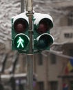 Winter traffic light Royalty Free Stock Photo