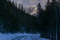 Winter on Trail Ridge Road