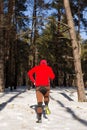 Winter trail running: man takes a run on a snowy mountain path in a pine woods. Royalty Free Stock Photo