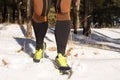 Winter trail running: man takes a run on a snowy mountain path in a pine woods. Royalty Free Stock Photo