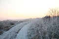 winter trail at the sunset Royalty Free Stock Photo