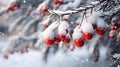 Hanging red Christmas balls and baubles on branches with snow covered surface. Royalty Free Stock Photo