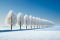 In the winter, the trees are covered with hoarfrost Royalty Free Stock Photo
