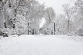 Winter trees covered in white fluffy snow