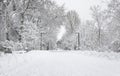 Winter trees covered in white fluffy snow