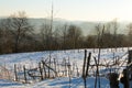 Beautiful winter landscape in a village Royalty Free Stock Photo