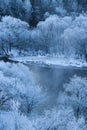 Winter trees with rime in early morning Royalty Free Stock Photo