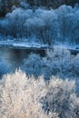 Winter trees with rime in early morning Royalty Free Stock Photo