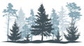 Winter trees silhouette. Beautiful fir trees and pines. Vector illustration Royalty Free Stock Photo