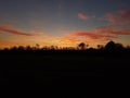 Winter trees Silhouette sunrise