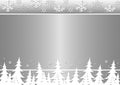 Winter trees, snowflakes on a silver background. Royalty Free Stock Photo