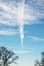 Winter treetops and blue sky, outdoors theme Royalty Free Stock Photo