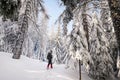 Winter trekking in a beautiful sunny day. Gran Paradiso National Park, Italy Royalty Free Stock Photo