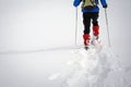 Winter trekking in a beautiful sunny day. Gran Paradiso National Park, Italy Royalty Free Stock Photo