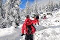 Winter Trekking in Carpathian Mountains Royalty Free Stock Photo