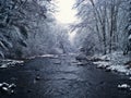 Winter Trout Stream Royalty Free Stock Photo