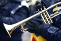 Winter trumpet Royalty Free Stock Photo