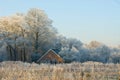 Winter in Twente