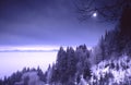 Winter Twilight Royalty Free Stock Photo