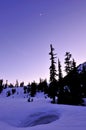 Winter twilight in Mt. Baker Royalty Free Stock Photo