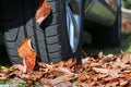 Winter tyres for autumn and winter. Winter tyres for wet slippery foliage Royalty Free Stock Photo