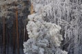 Winter in the Urals