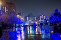 Winter urban illumination Royalty Free Stock Photo