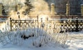 Steam from the sewers on the background of the path, snow-covered bushes