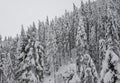 Winter in Val Pontebbana, North East Italy