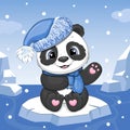 Cute cartoon panda wearing a blue hat and scarf floating on ice. Royalty Free Stock Photo