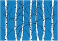 Winter vector illustration of naked birch trees isolated on dark blue background.