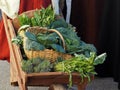 Winter vegetable mix with chicory, cabbage, broccoli and spinach in a wicker basket.