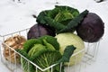 Winter vegetables on snow Royalty Free Stock Photo