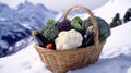 Winter vegetables in a wicker basket on snow Royalty Free Stock Photo