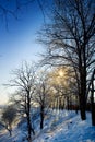 Winter view Royalty Free Stock Photo