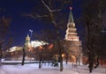 Winter view of the Alexander Garden and Borovitska Royalty Free Stock Photo
