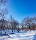 A winter view along a frozen Riga canal in sunny day. Royalty Free Stock Photo