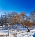 A winter view along a frozen Riga canal in sunny day. Royalty Free Stock Photo