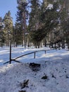 Winter view of Byala Cherkva region at Rhodopes Mountain, Bulgaria Royalty Free Stock Photo