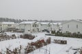 Winter view of country village with white houses covered with snow. Beautiful landscape background. Royalty Free Stock Photo