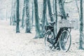 Winter view of a Dutch electric black cargo bicycle with basket