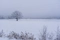 Winter view, frost on trees, rural landscape