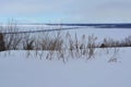 Winter view on frozen river with bridge through dry herbs Royalty Free Stock Photo