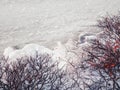 Winter view of ice on bushes near a snow-covered lake. Polar sunset landscape with ice