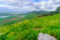 Winter view of the Jezreel valley countryside