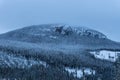 Winter view of a large mountain in Sweden covered with pine trees